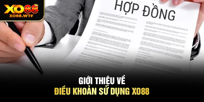 Giới thiệu về điều khoản sử dụng XO88