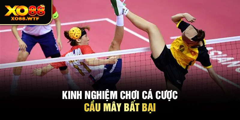 Kinh nghiệm chơi cá cược cầu mây bất bại